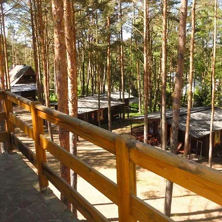 In With Sauna